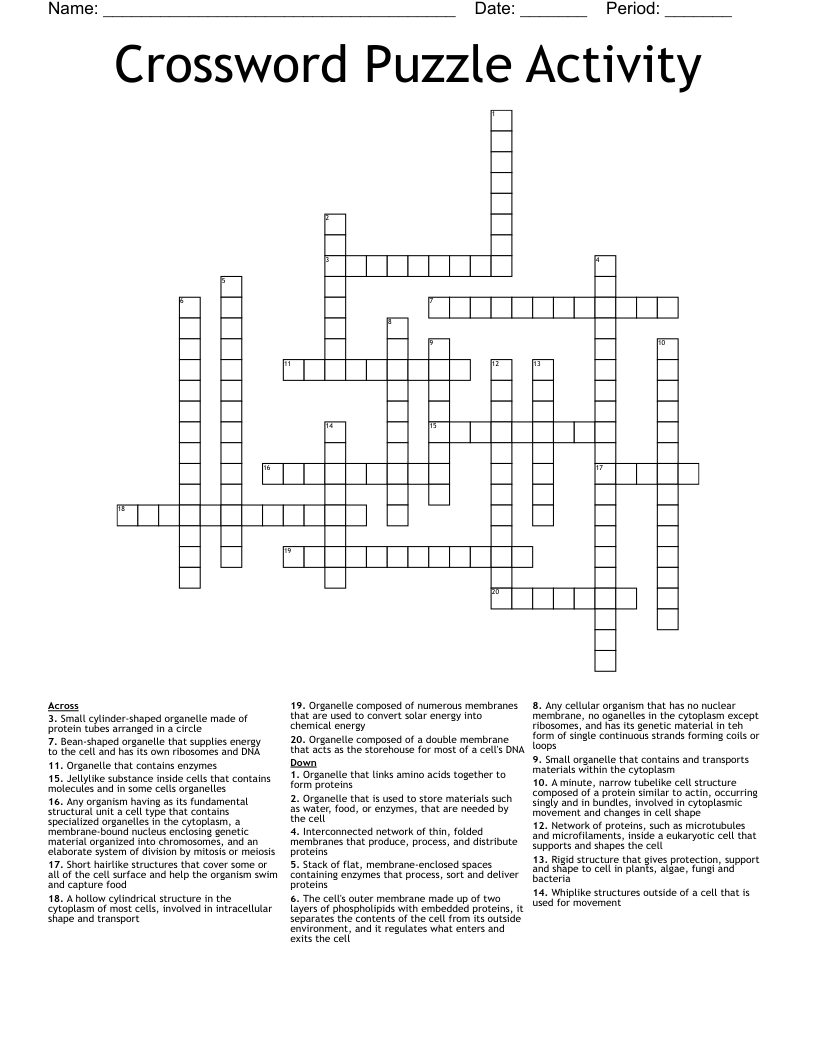 Crossword Puzzle Activity