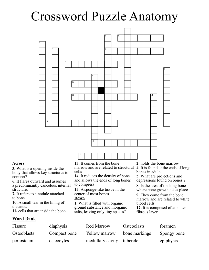 Crossword Puzzle Anatomy 