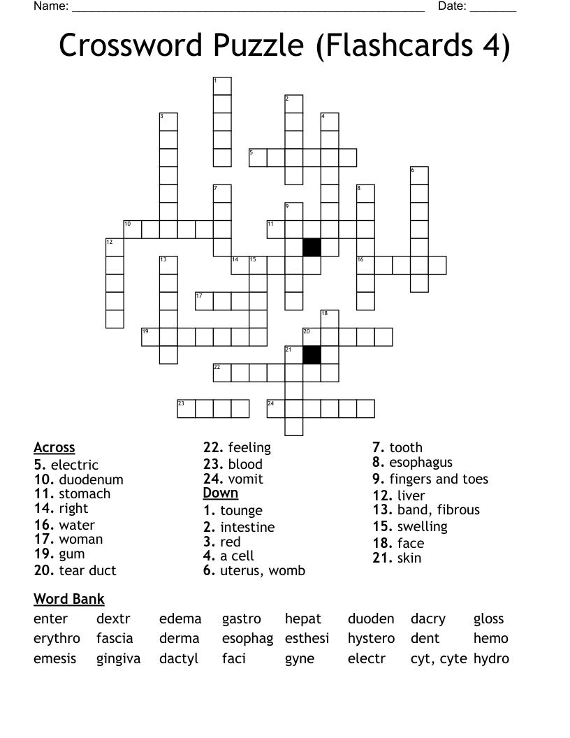 Crossword Puzzle (Flashcards 4)