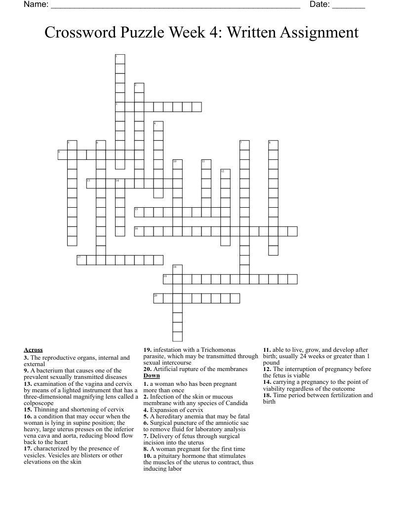 Crossword Puzzle Week 4: Written Assignment 