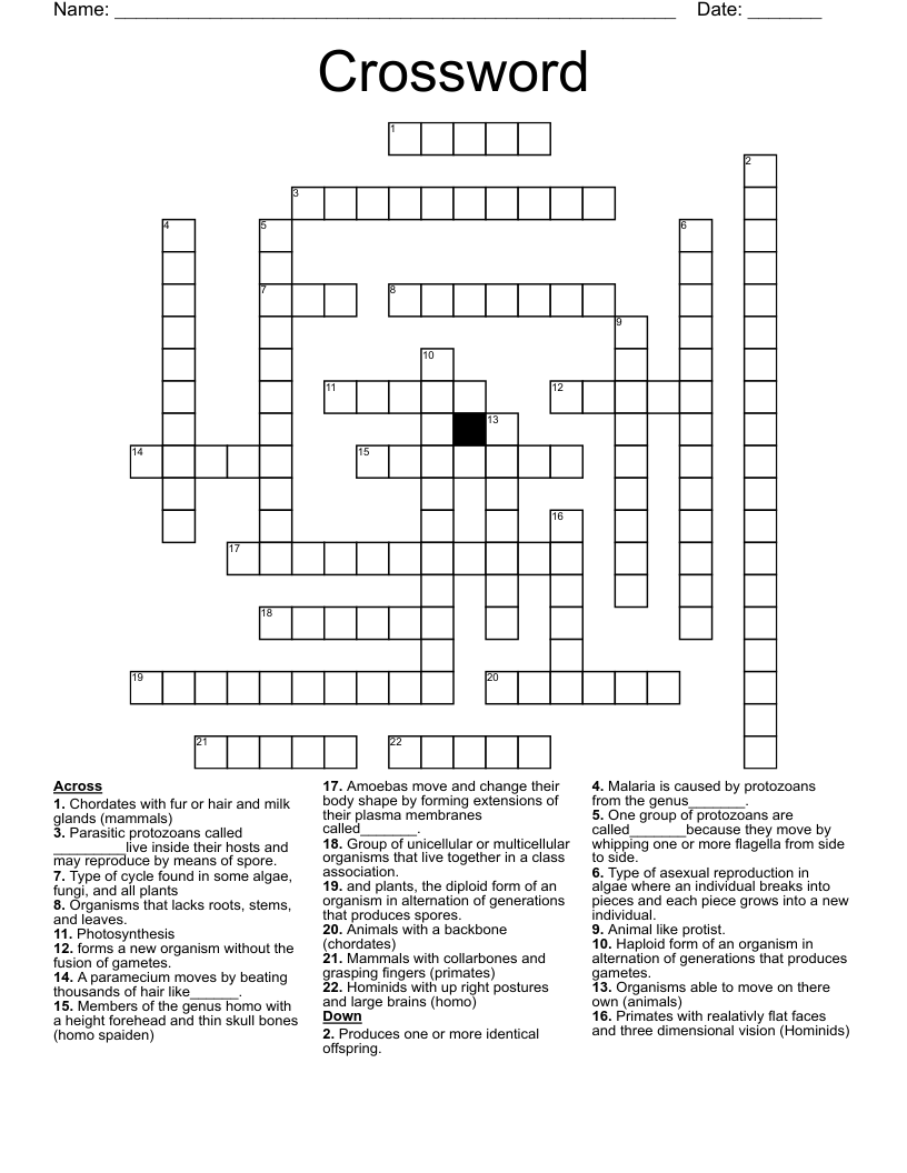 Crossword 