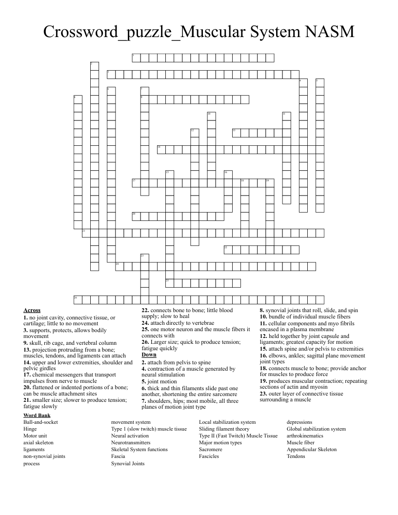 Crossword_puzzle_Muscular System NASM 