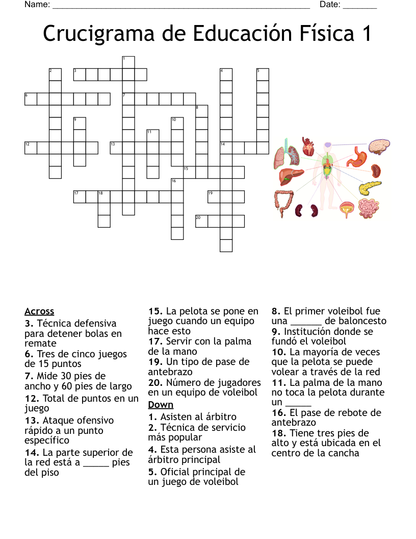 Crucigrama de Educación Física 1 Crossword