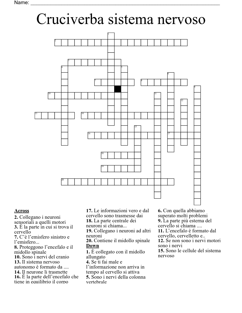 Cruciverba sistema nervoso Crossword