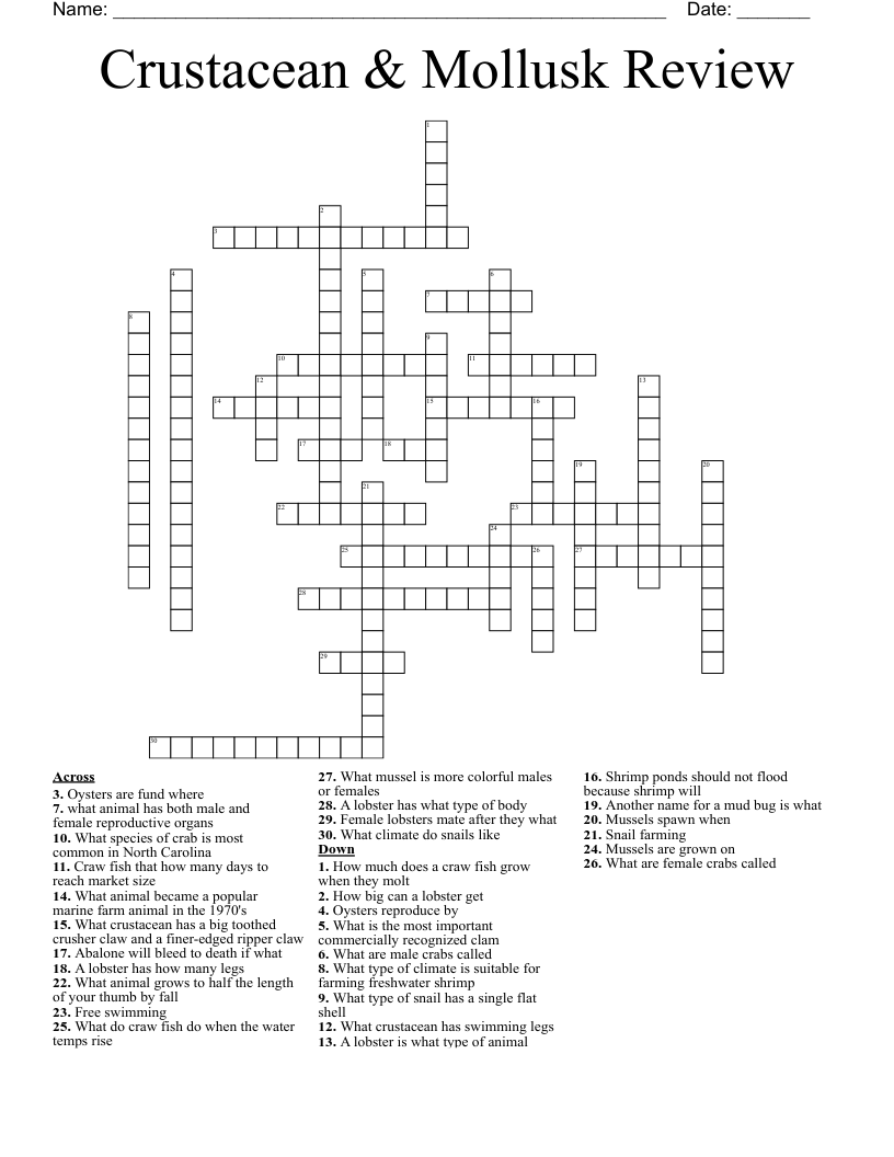 Crustacean & Mollusk Review  Crossword