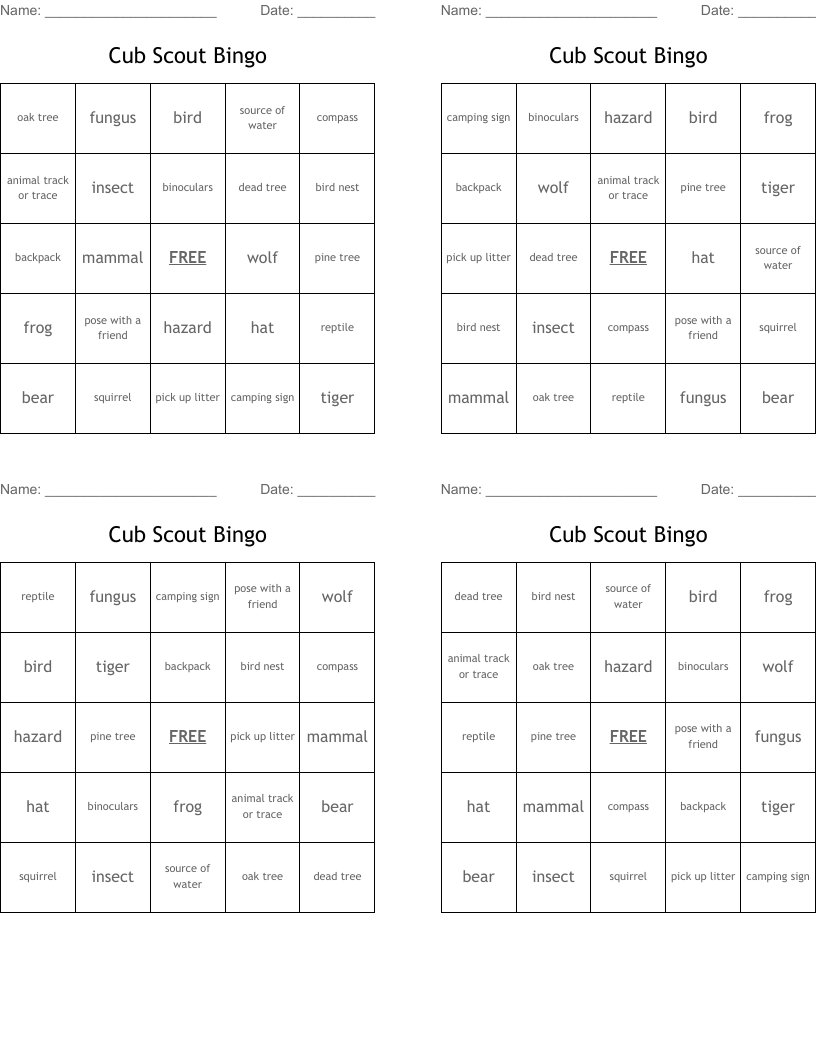 Cub Scout Bingo