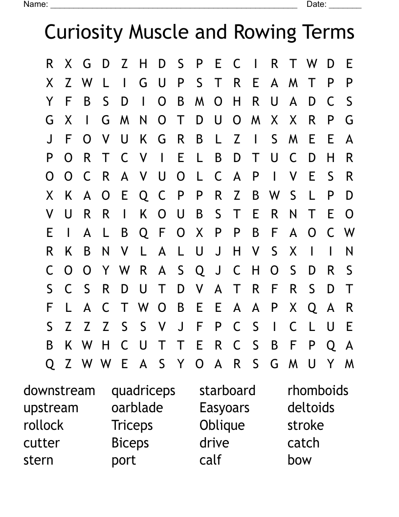 Curiosity Muscle and Rowing Terms  Word Search