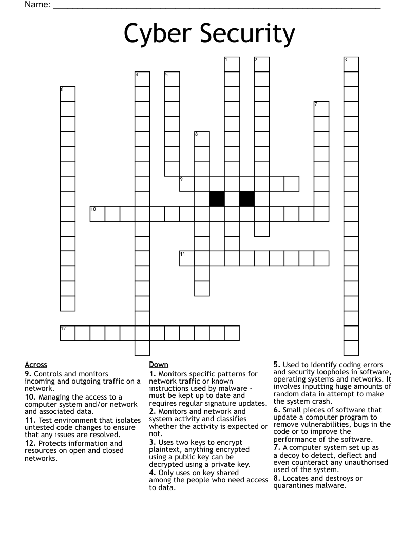 Cyber Security  Crossword