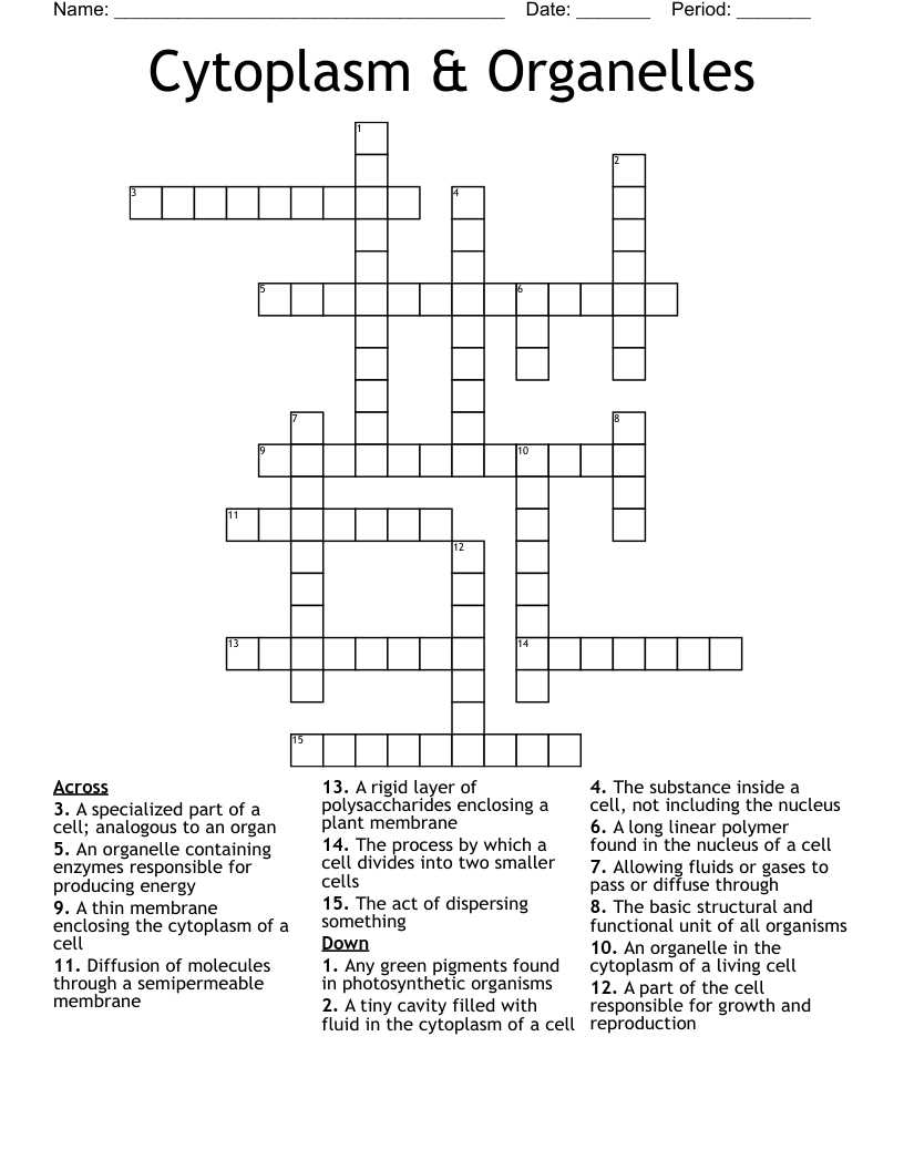 Cytoplasm & Organelles Crossword