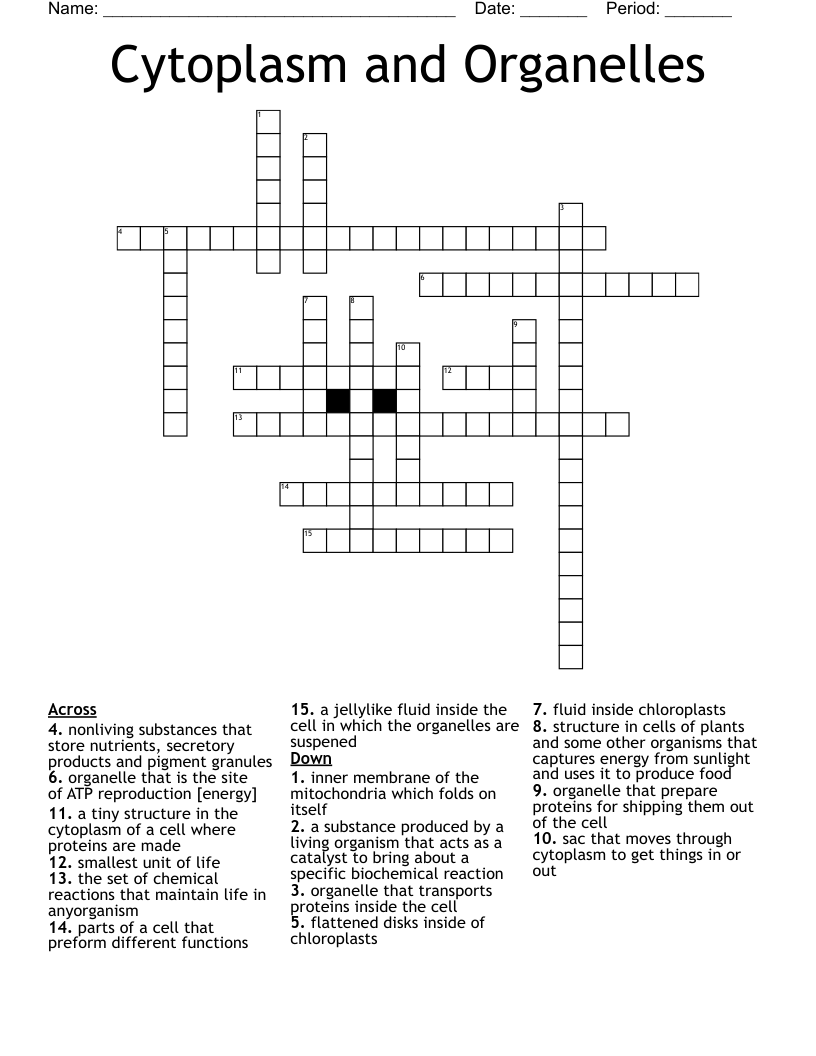 Cytoplasm and Organelles Crossword