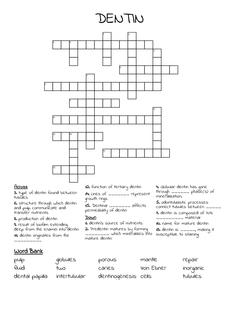 DENTIN Crossword
