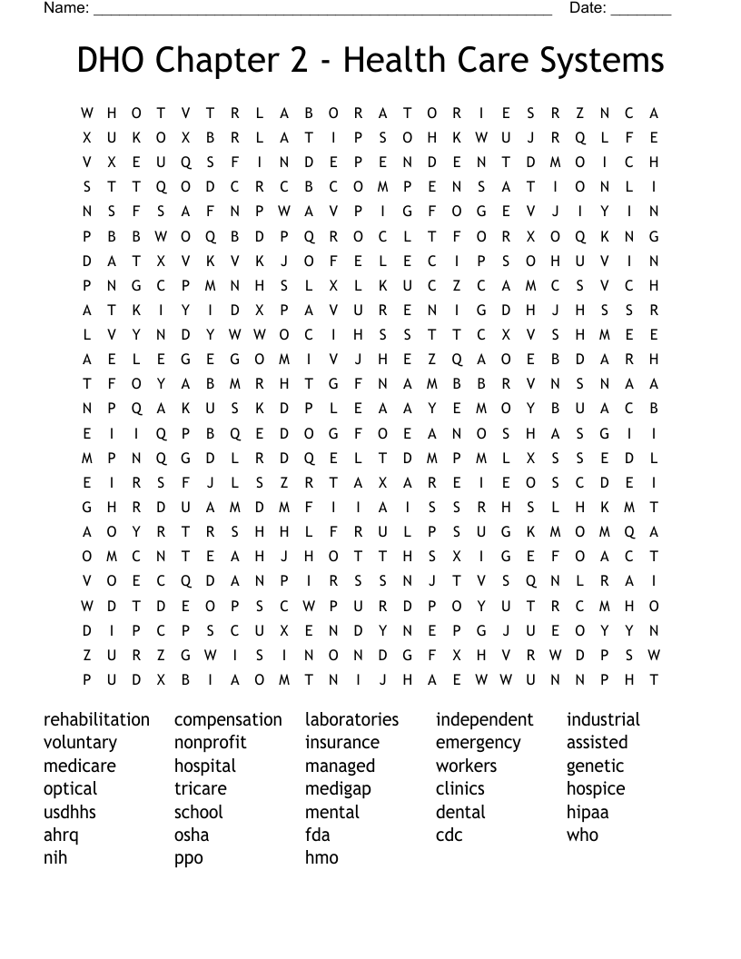 DHO Chapter 2 - Health Care Systems Word Search