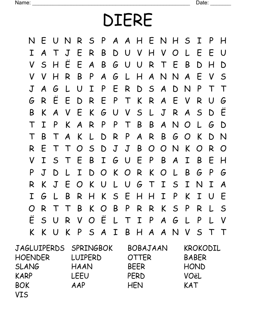 DIERE Word Search