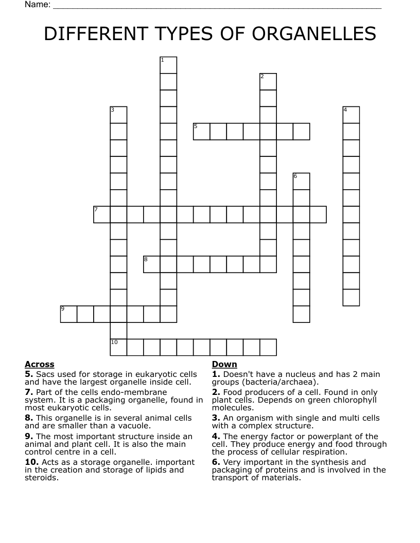 DIFFERENT TYPES OF ORGANELLES Crossword