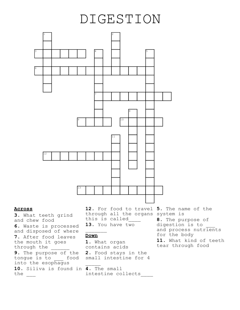 DIGESTION Crossword