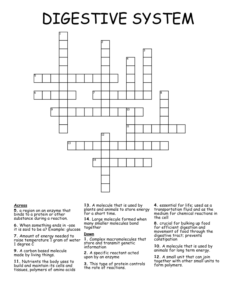 DIGESTIVE SYSTEM Crossword