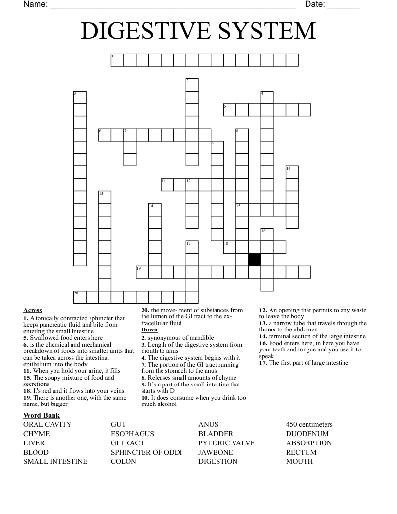 DIGESTIVE SYSTEM Crossword