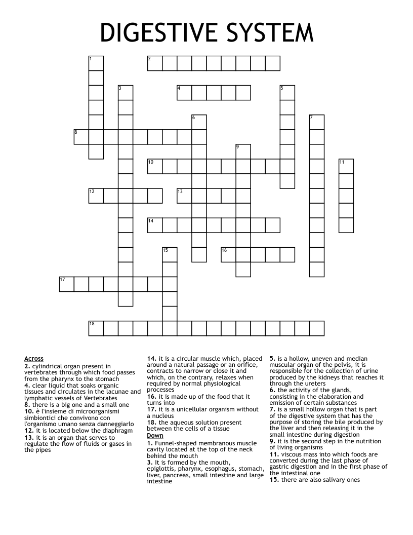 DIGESTIVE SYSTEM Crossword