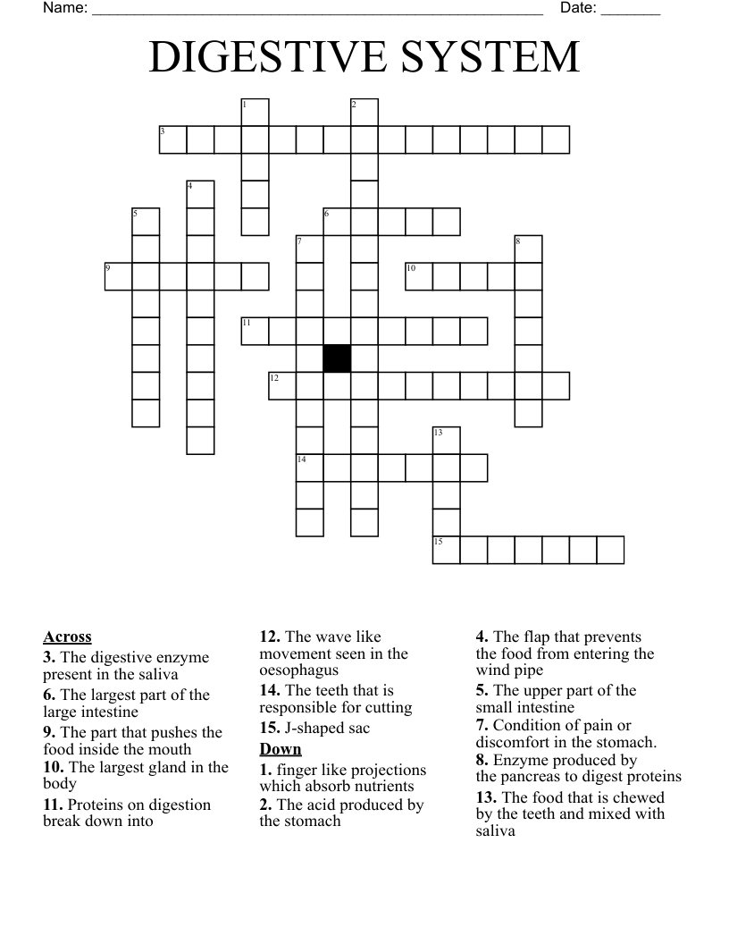DIGESTIVE SYSTEM Crossword