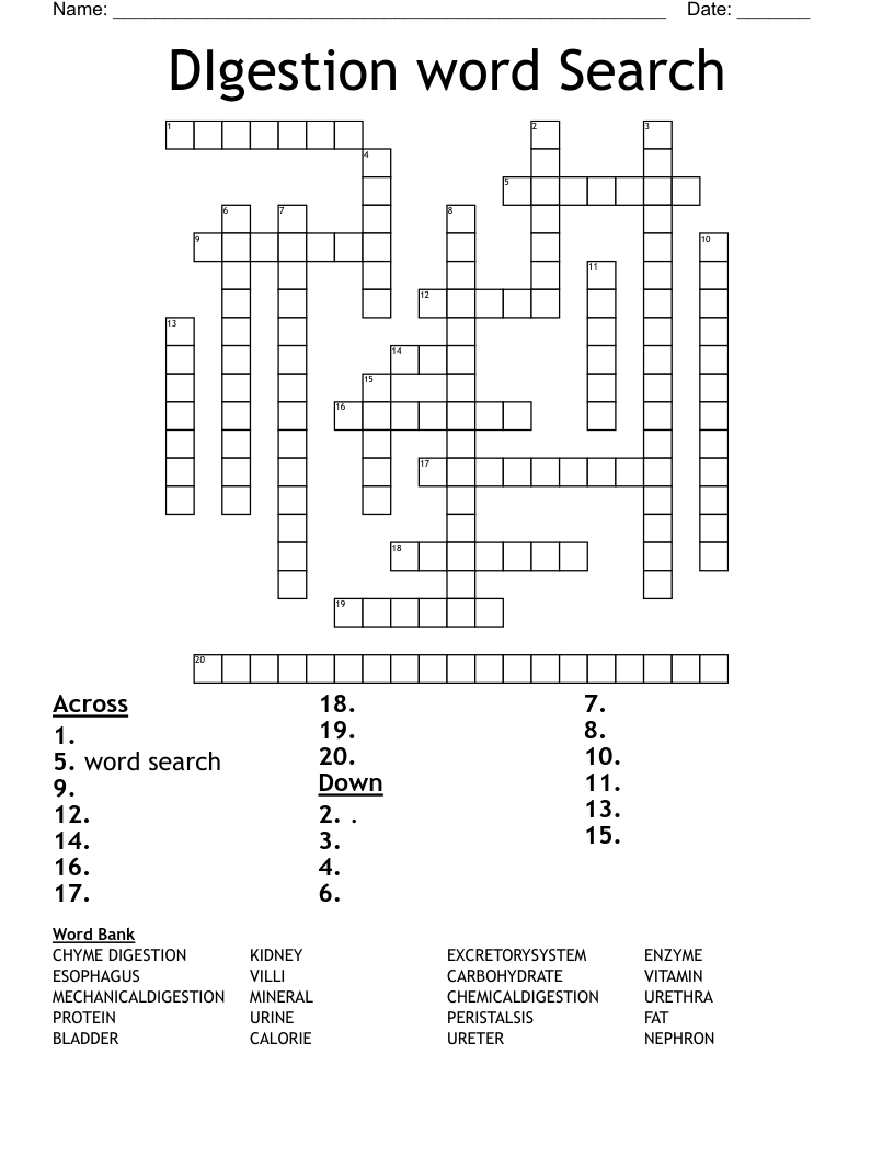 DIgestion word Search Crossword