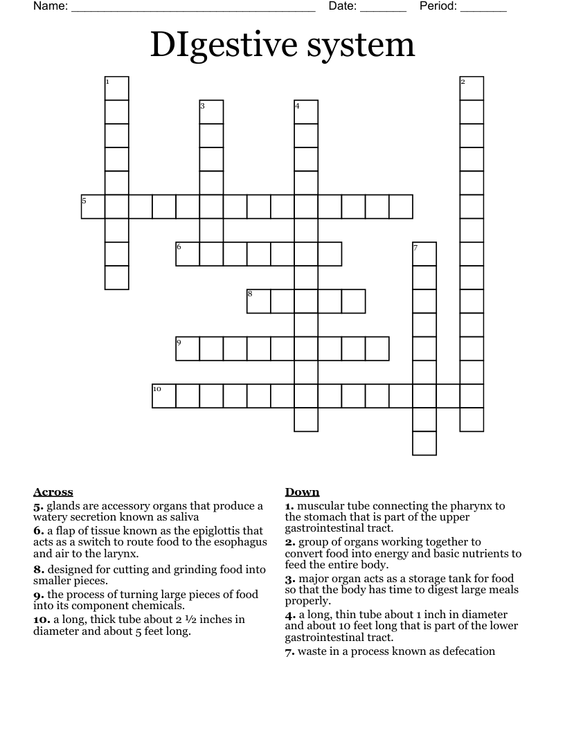 DIgestive system Crossword