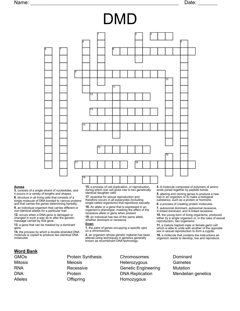 DMD Crossword