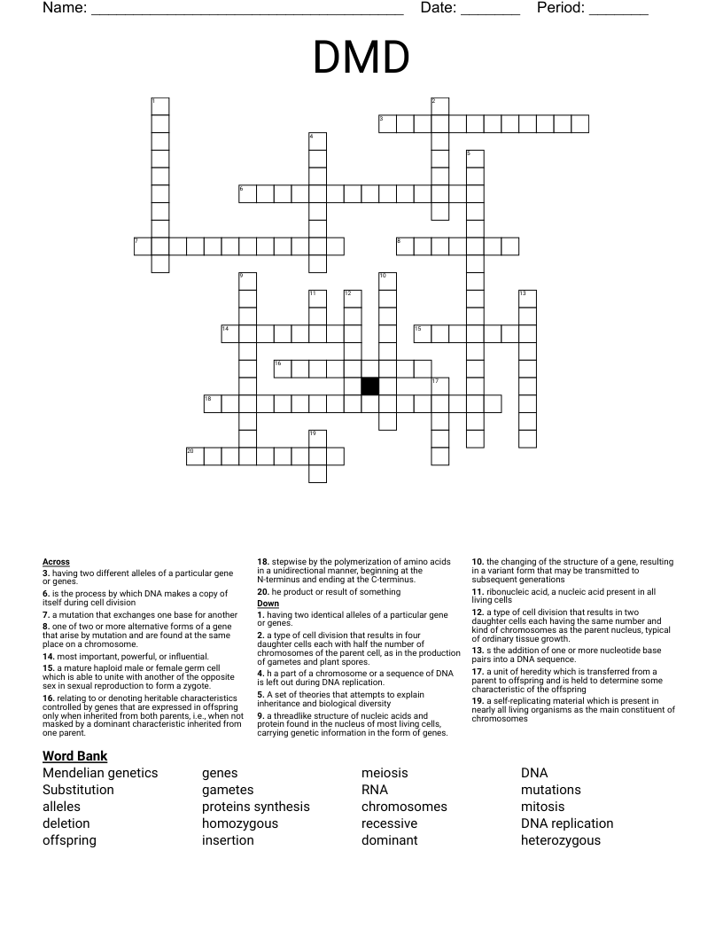 DMD Crossword