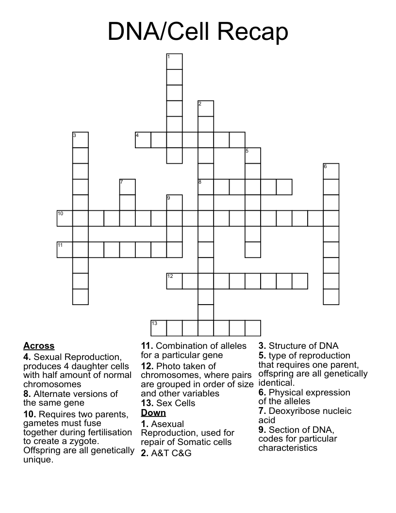 DNA/Cell Recap Crossword