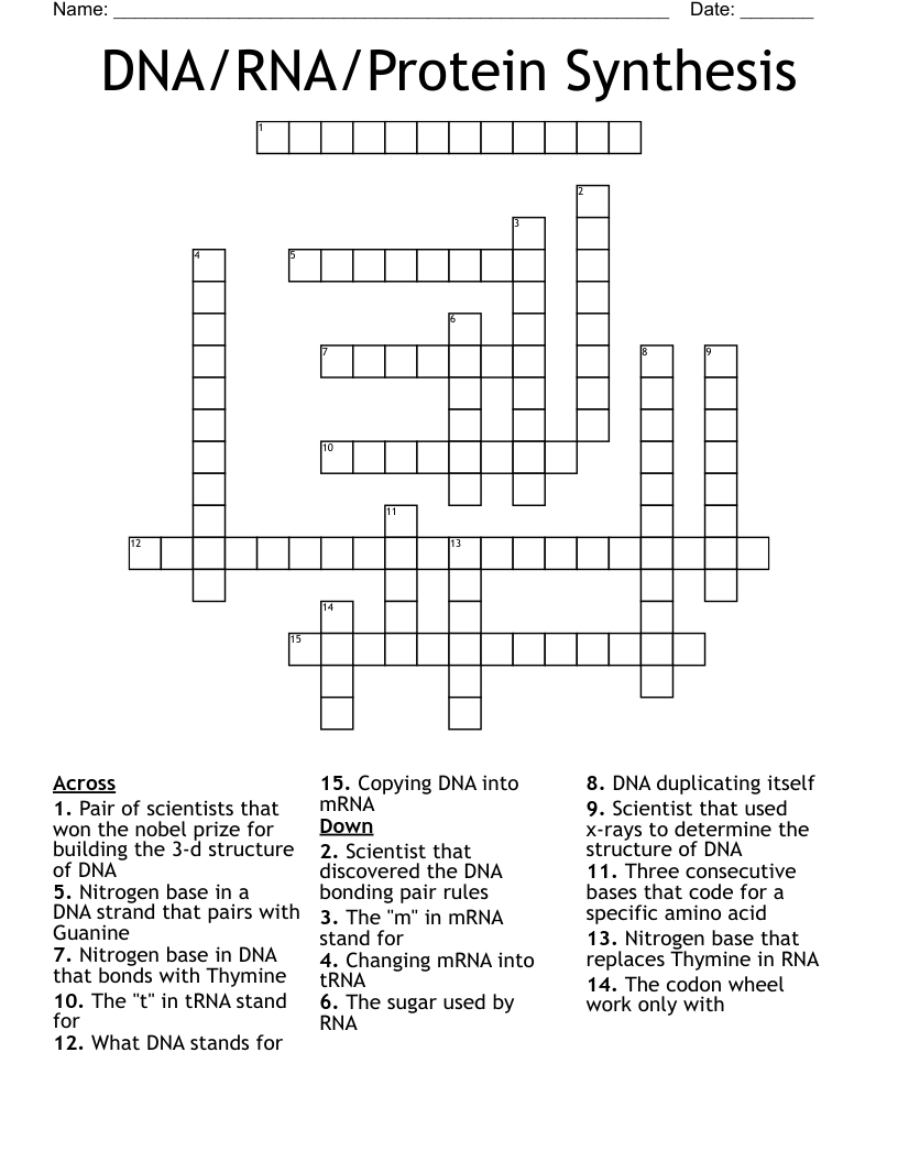 DNA/RNA/Protein Synthesis Crossword
