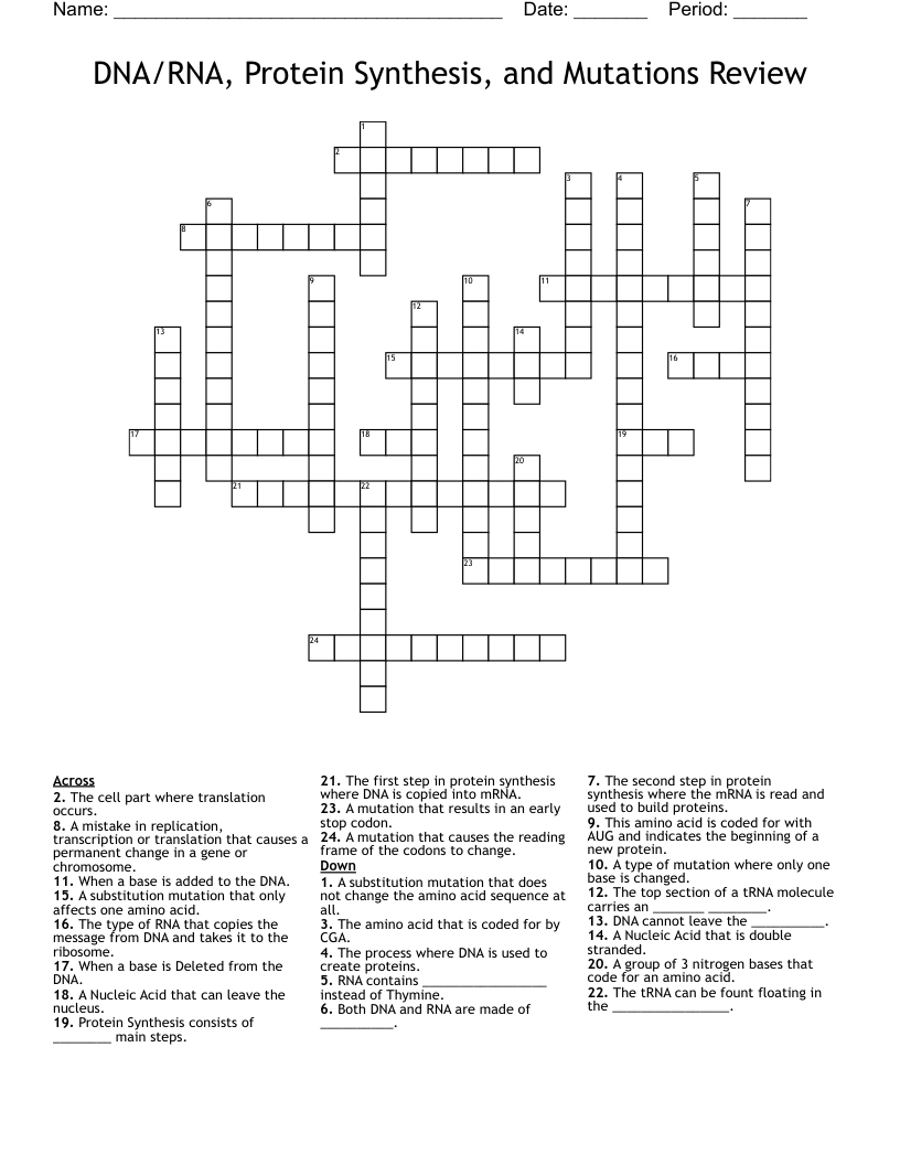 DNA/RNA, Protein Synthesis, and Mutations Review Crossword
