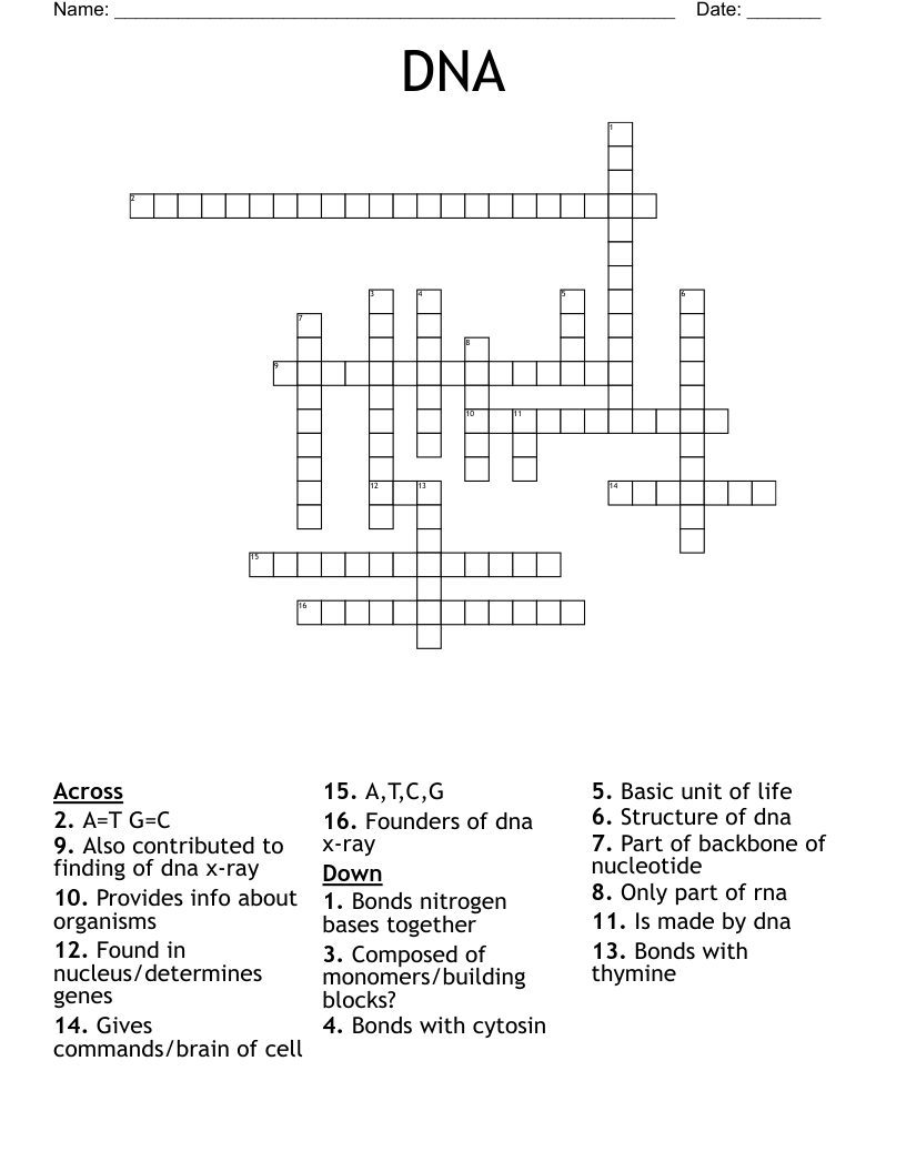 DNA Crossword