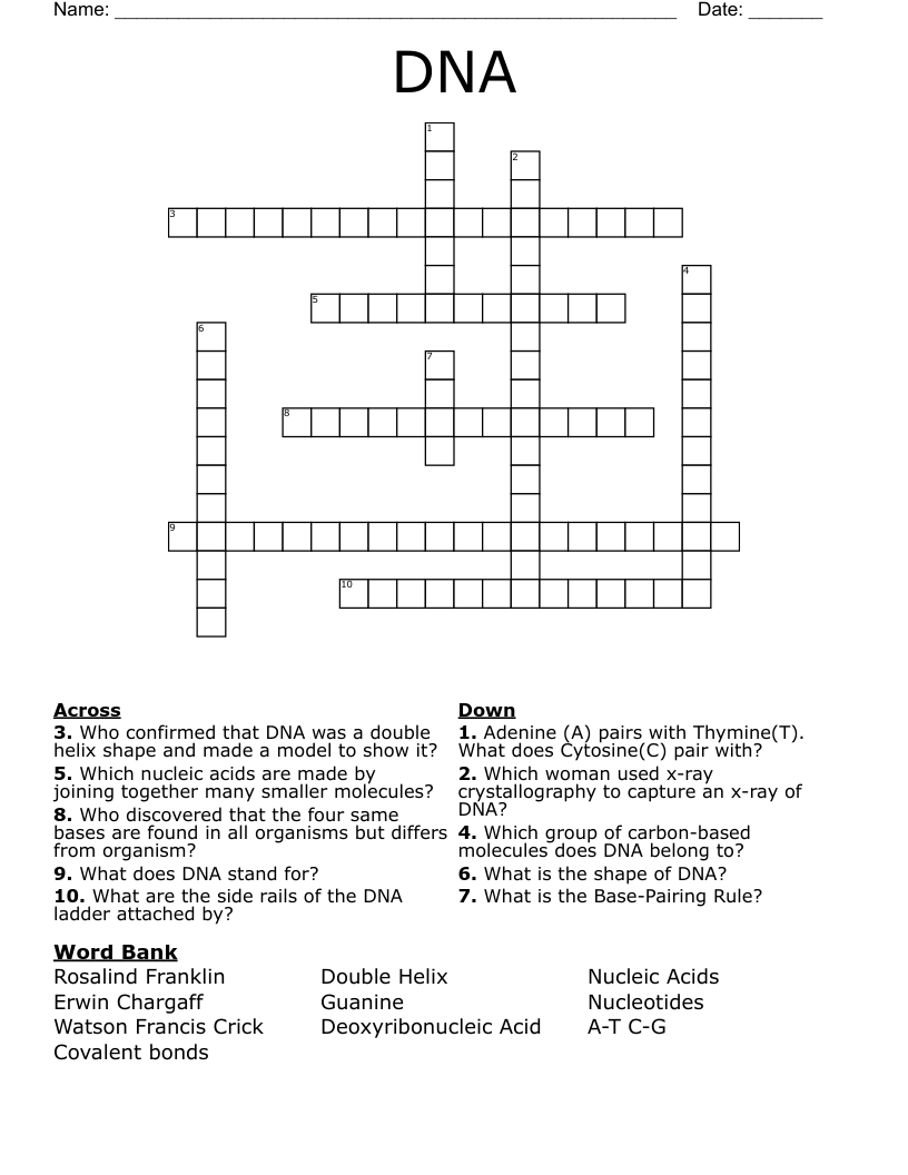 DNA Crossword
