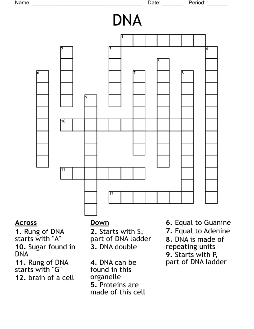 DNA Crossword