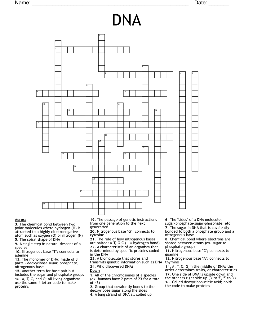 DNA Crossword