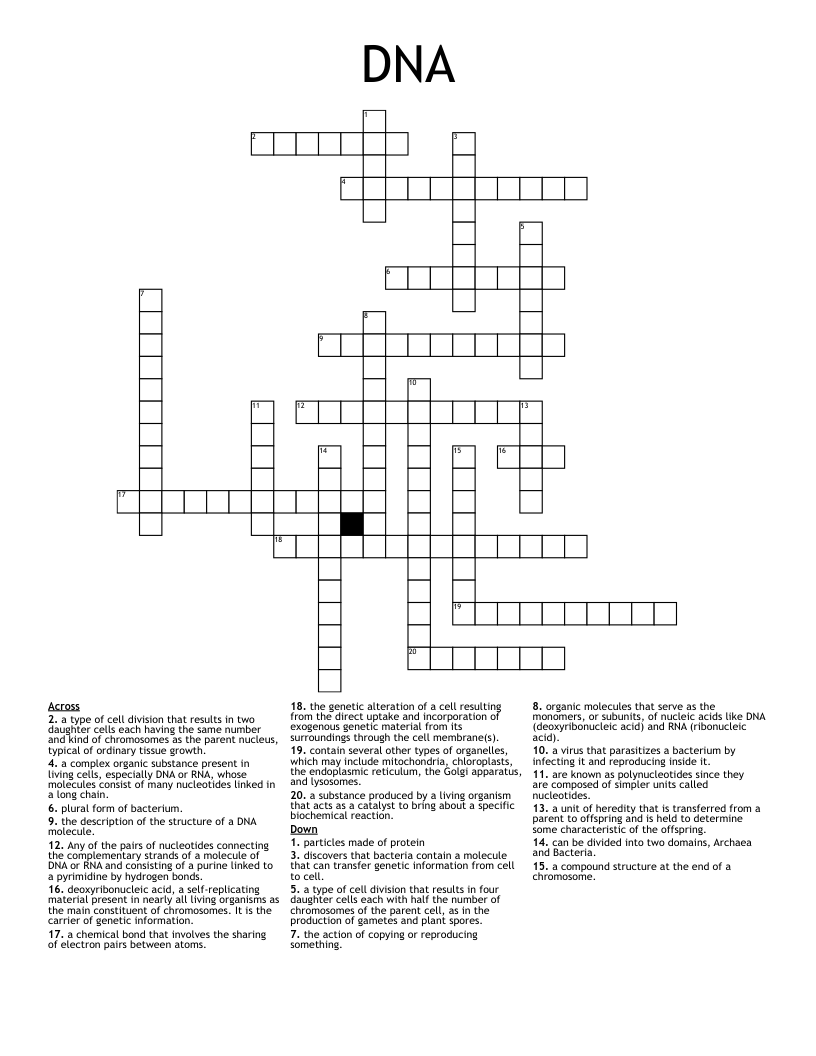 DNA Crossword