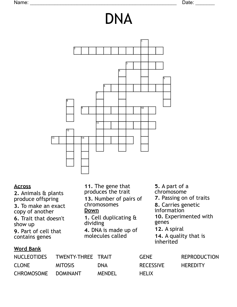 DNA Crossword