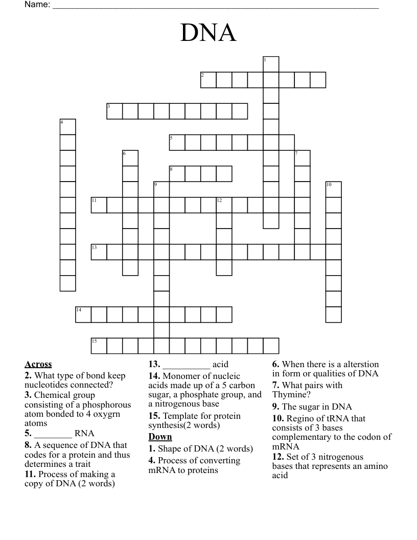 DNA Crossword