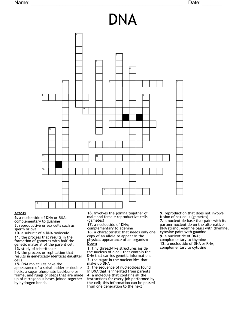 DNA Crossword