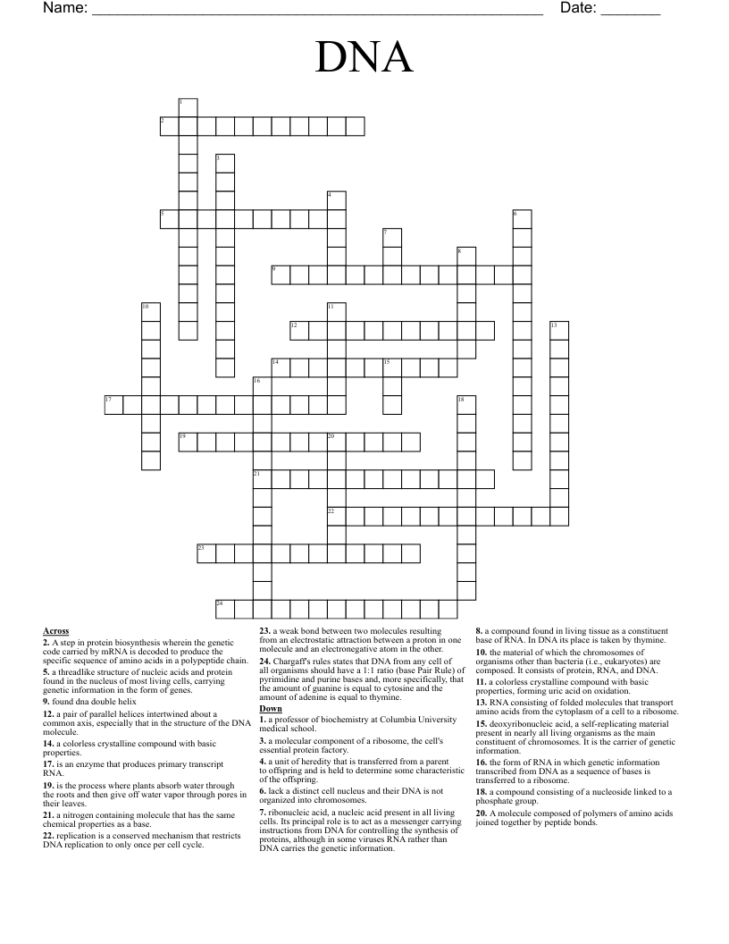 DNA Crossword