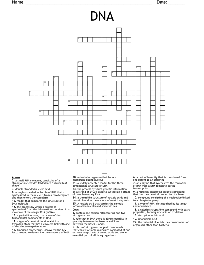 DNA Crossword