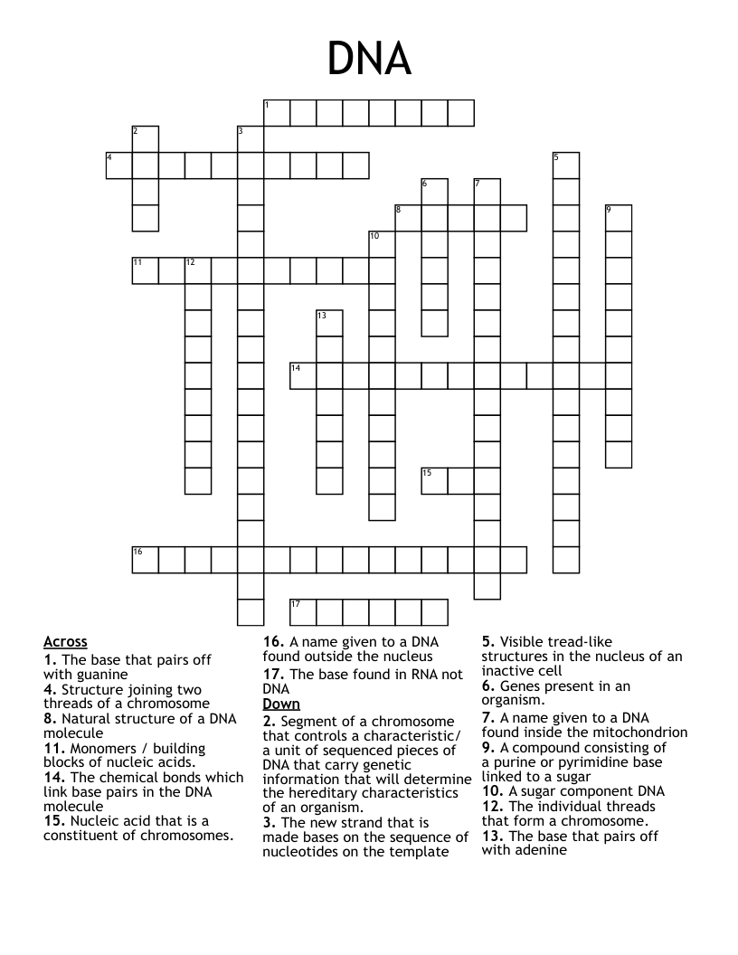 DNA Crossword