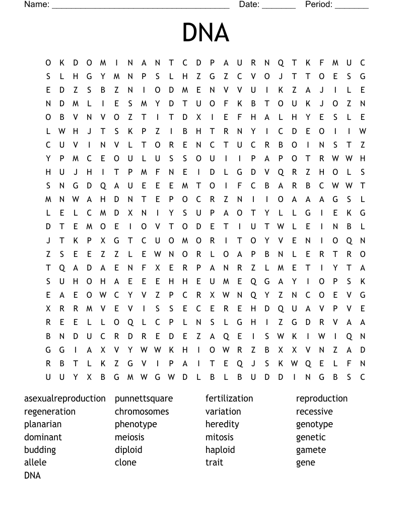 DNA Word Search