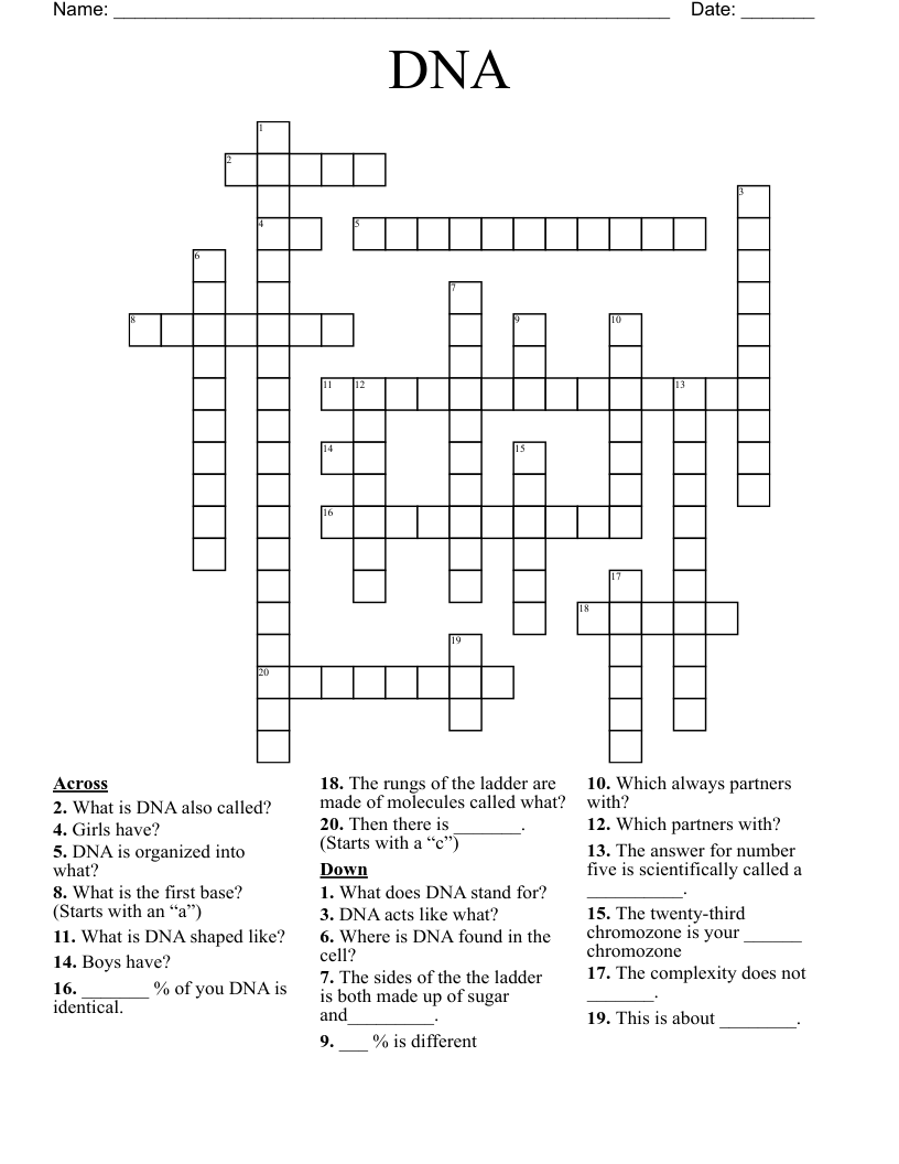 DNA Crossword
