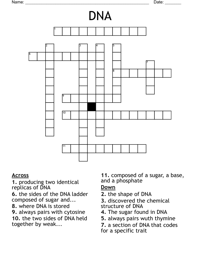 DNA Crossword