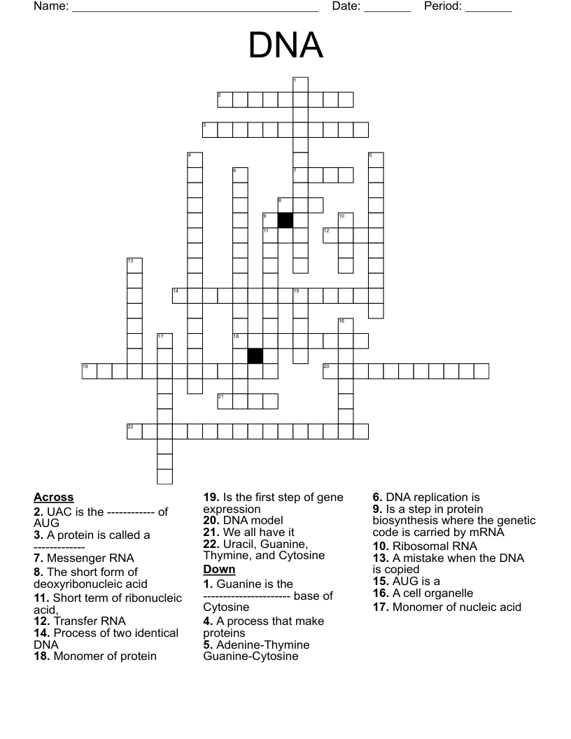 DNA Crossword