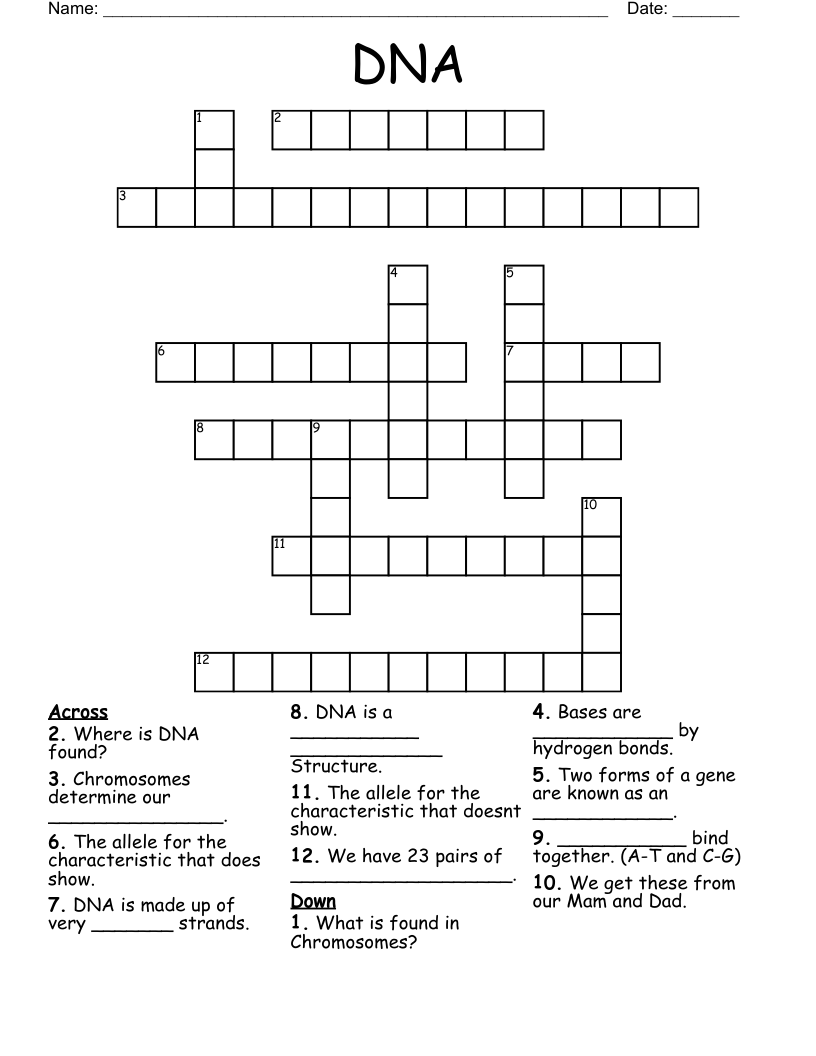DNA Crossword