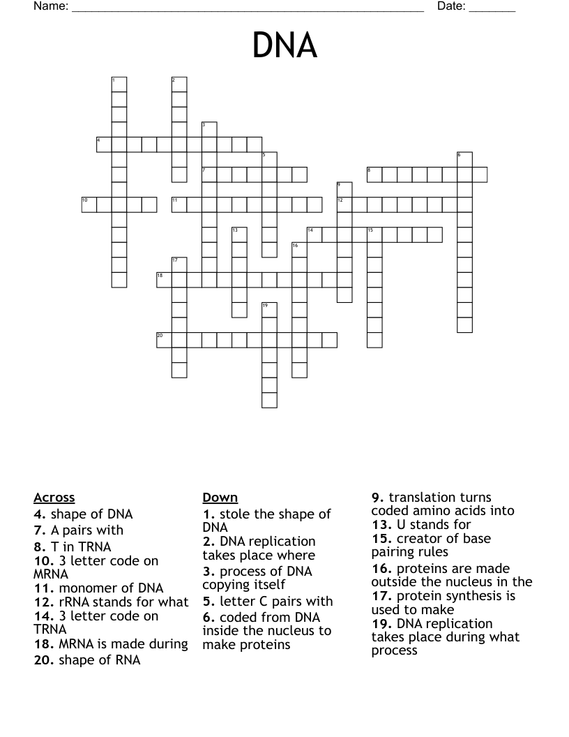 DNA Crossword