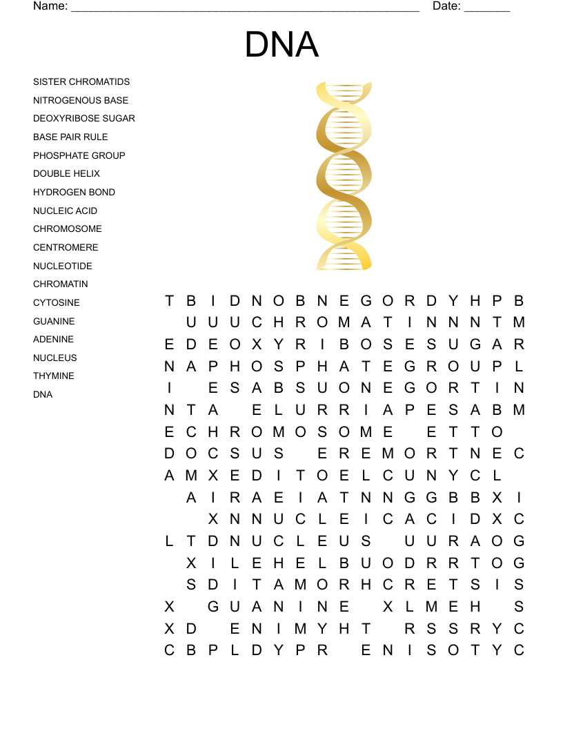 DNA Word Search