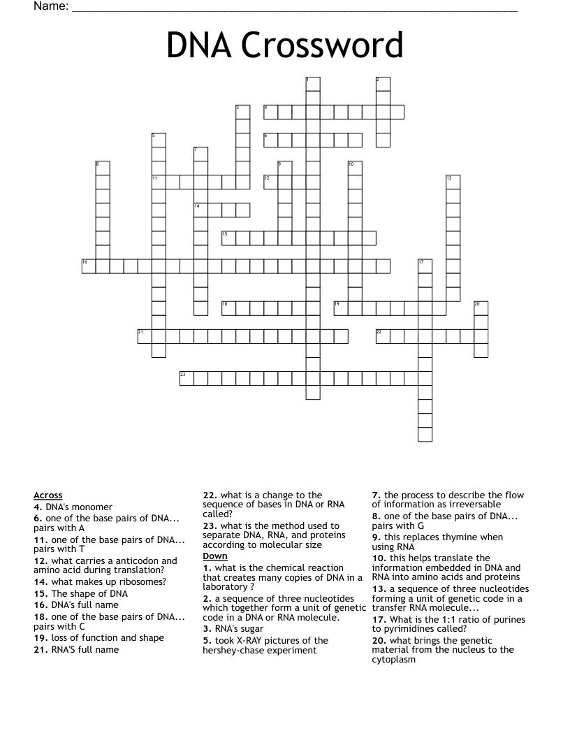 DNA Crossword