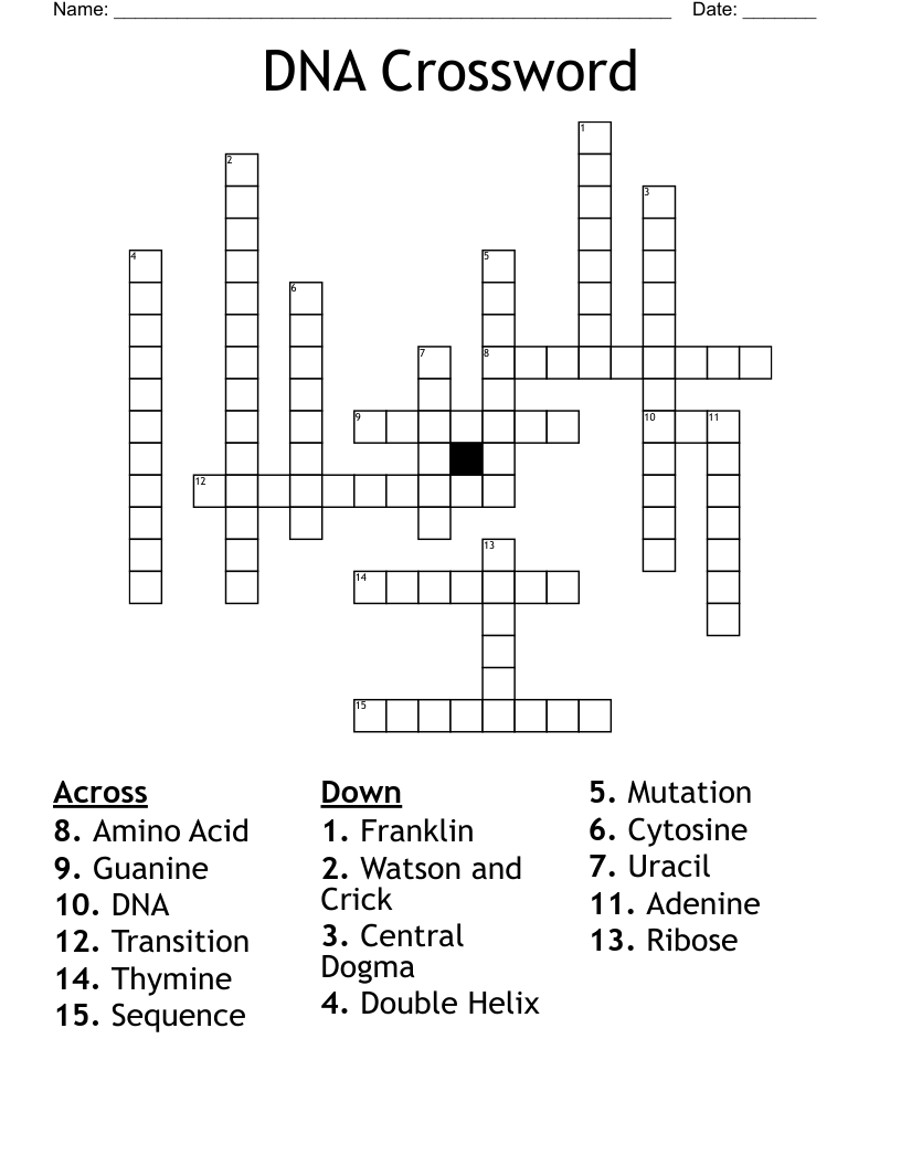 DNA Crossword